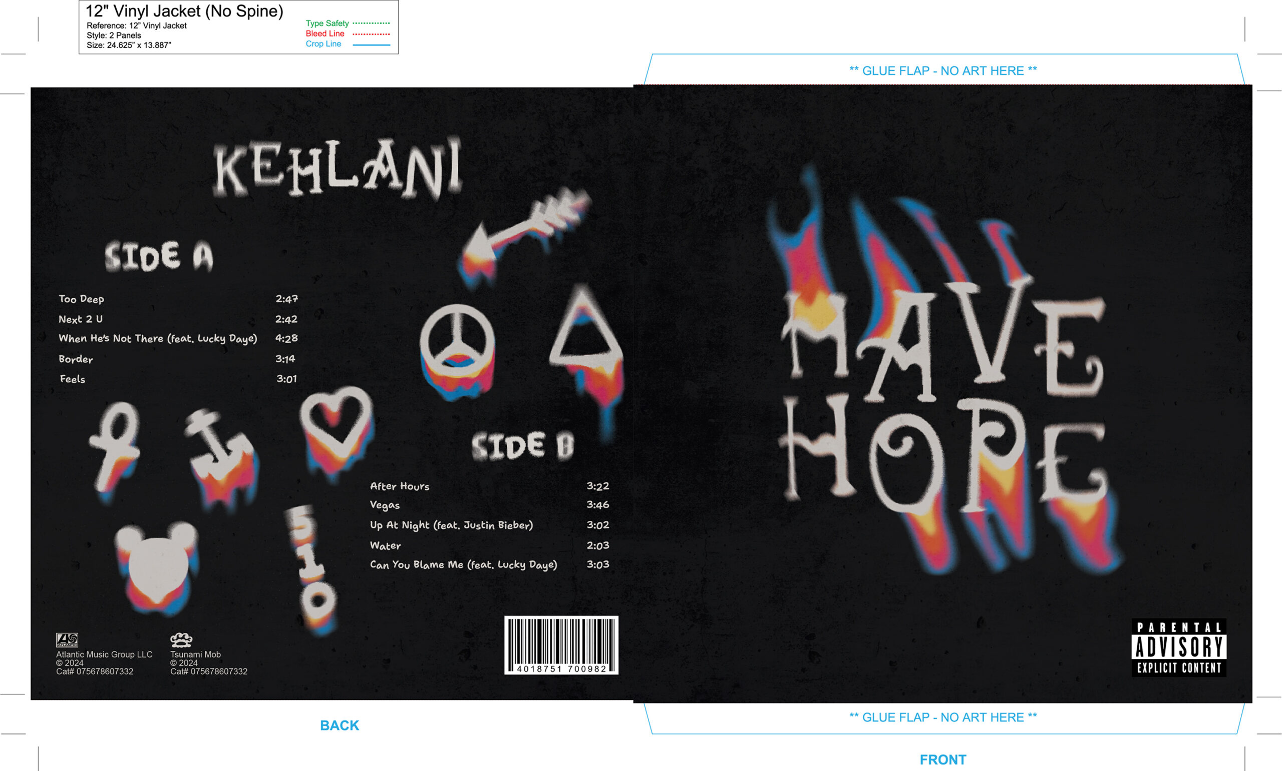 vinyl cover project